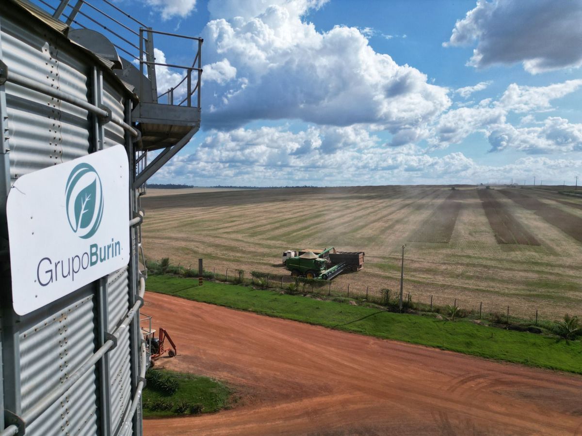 Colheita com silos de armazenagem ao fundo
