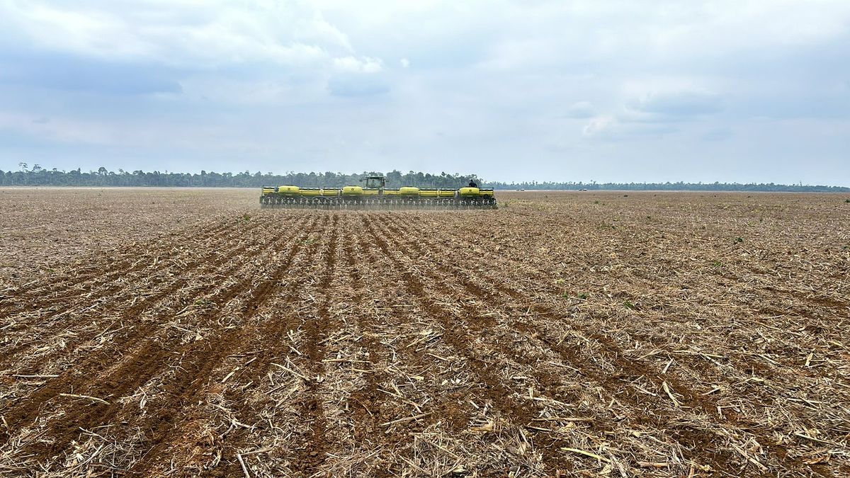 Plantio direto sobre a palhada