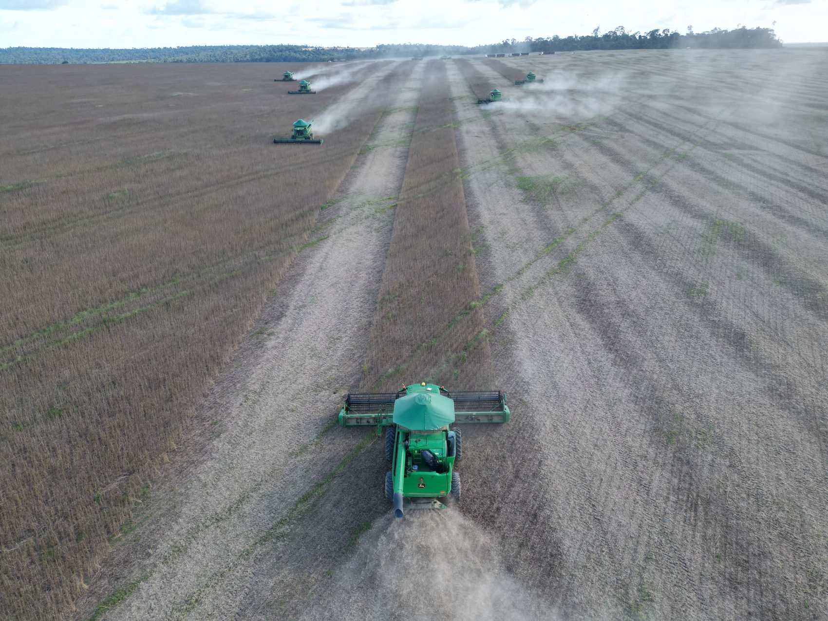 Colheita mecanizada em pleno campo