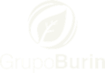 Grupo Burin